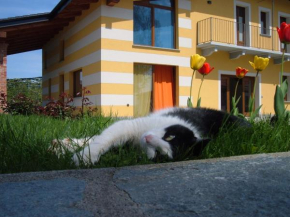 Гостиница Agriturismo Fior Di Campo  Дронеро